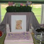 Baby Shower Dessert Table with Butterfly Cookies